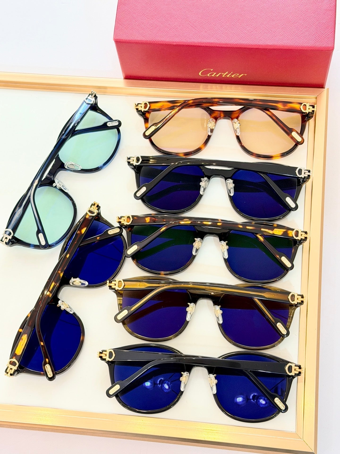 Cartier CT0302S Sunglasses